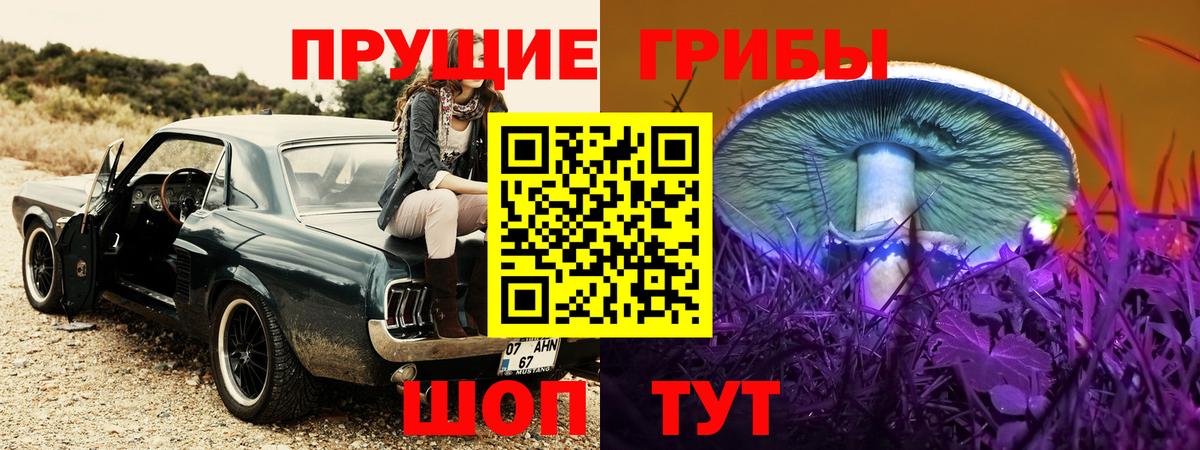 Псилоцибиновые грибы ЛСД Волжск